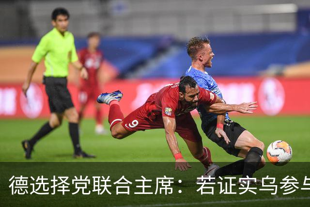 德选择党联合主席：若证实乌参与了北溪管道被炸事件，将面临后果