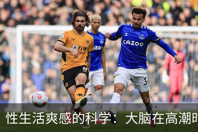 性生活爽感的科学：大脑在高潮时发生了什么？