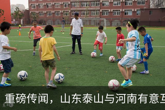 重磅传闻，山东泰山与河南有意互换国脚球员，解决两队阵容短板