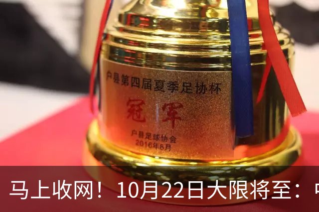 马上收网！10月22日大限将至：中国富豪正在＂割肉＂补税